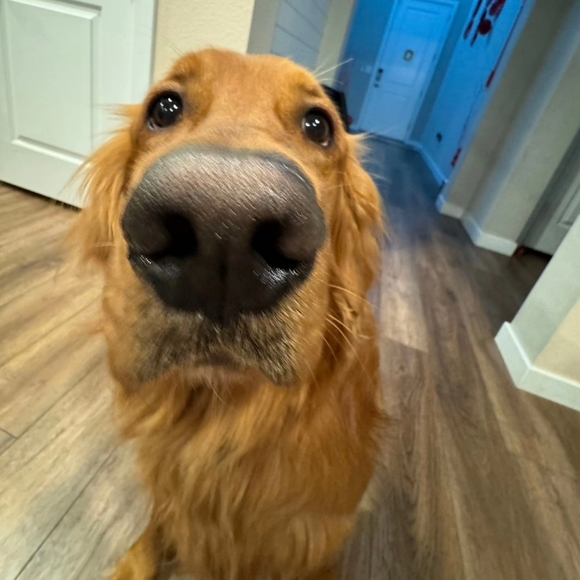 Hiya ππ» - Picture 4 of 11